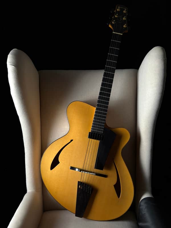 Eastman PG2 Pagelli Archtop 17" image 1