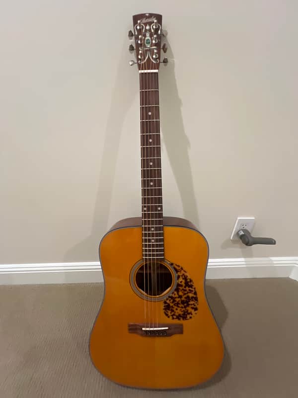 Blueridge BR-140