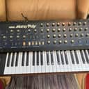 Korg Mono/Poly 1980s - Blue
