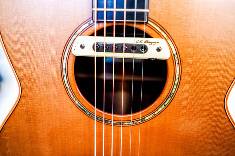 LR Baggs M80 Acoustic Guitar Soundhole Pickup