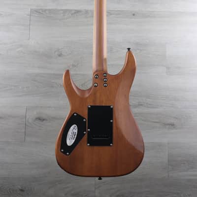 Schecter C-1 Exotic Spalted Maple 2020 - Present - Satin Natural Vintage Burst image 6