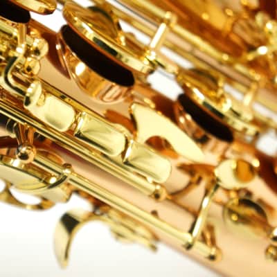 【Special price】 Yanagisawa T-WO2[TWO2] Bronze Tenor Saxophone image 12