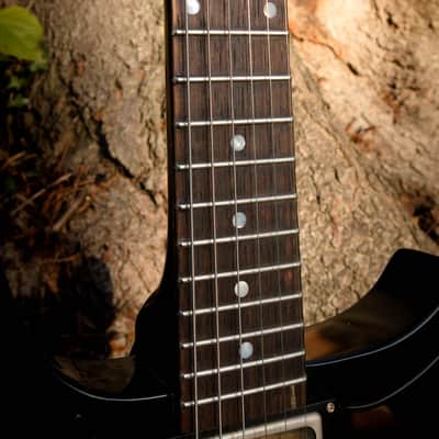 2016 Echopark Arroyo Californian Build - Dean Fertita Model & Spec image 6