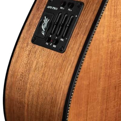 MATON EBW808C w/Case image 4