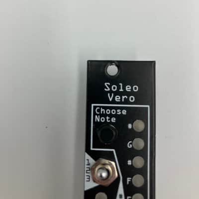 Noise Engineering Soleo Vero 2018 - Present - Black image 3