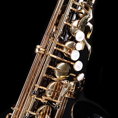 Selmer SAS511B Intermediate Alto Saxophone, Black Nickel image 6