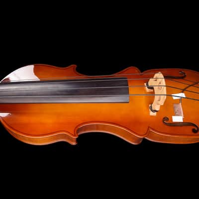 Eminence RN4 Electric Upright Bass - Sunburst image 3