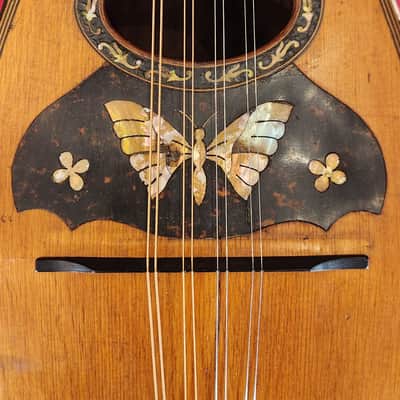 Vintage Bowl-Back Mandolin Natural - FULLY RESTORED - Brazilian Rosewood Back!! image 5