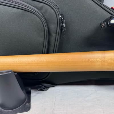Kiesel Aries 2 A27H 7-string Guitar with Gig Bag image 9