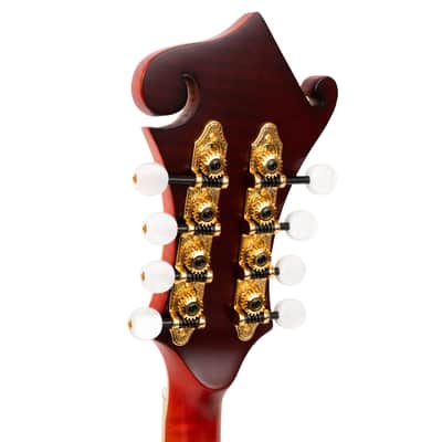Gold Tone GM-80: F-Style Mandolin with Case image 7