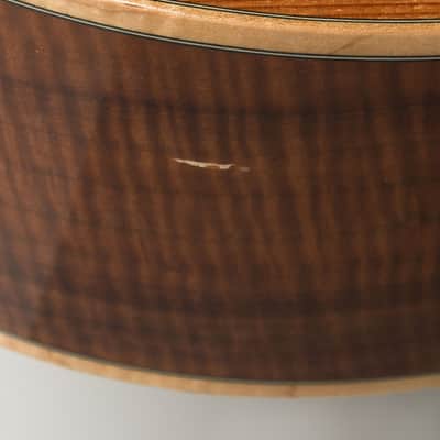 Circle Strings  A-1 10 String Acoustic Flat Top Guitar (2018), ser. #119, original molded white plastic hard shell case. image 17