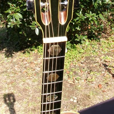 1975 Yairi YW-800G Japan Vintage Grammer Guitar Style + Original SKB Case image 5