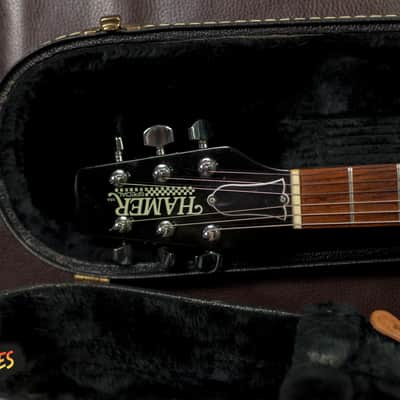 Hamer Special 1981 Custom Black and White Graphics -VIDEO- image 8