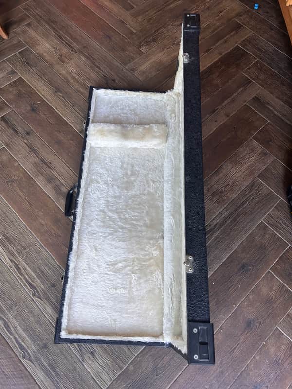 Cheney Hard case for strat/ teles Bild 1