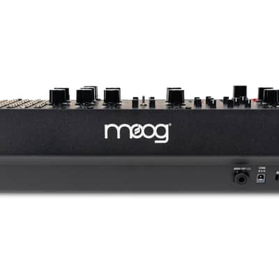 MOOG MUSIC Labyrinth image 4