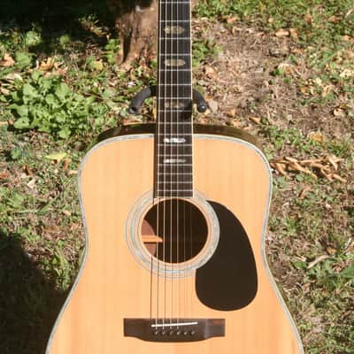 1975 Yairi YW-600 Dreadnought Guitar New Jacaranda Natural+Hard Case image 3