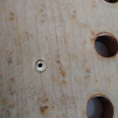 Boogie Bodies Stratocaster Neck Lynn Elsworth image 8