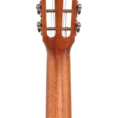 Alvarez AP66SHB Parlor Acoustic Guitar Mahogany Shadowburst image 7