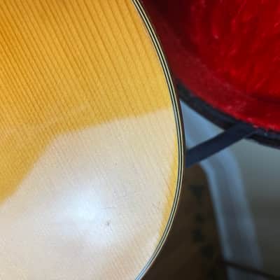 Asturias A18-11 11 String Altoguitar Alto Guitar image 15