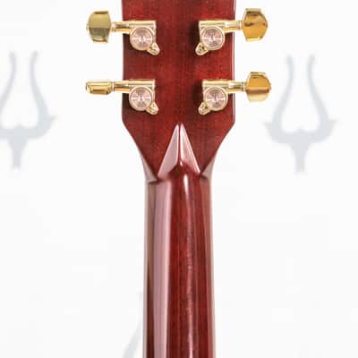 Daion Year Series '82 Six String Acoustic image 17
