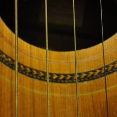 Knutsen Symphony 18 String Harp Guitar 1902 Natural image 5
