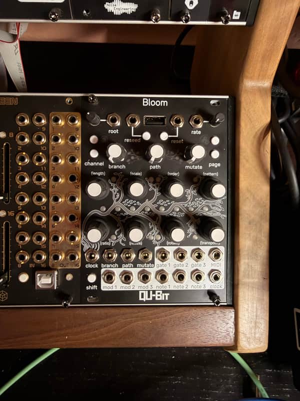 Qu-Bit Electronix Bloom v2