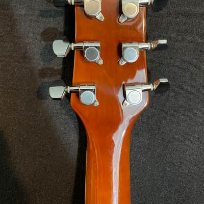 Jay Turser JT-200 image 6
