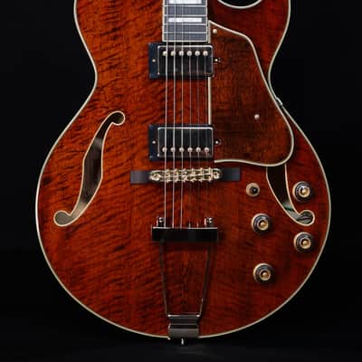 Ibanez AG95MGDA, AG Expressionist, Mango top/back/sides, Gold Hardware image 1