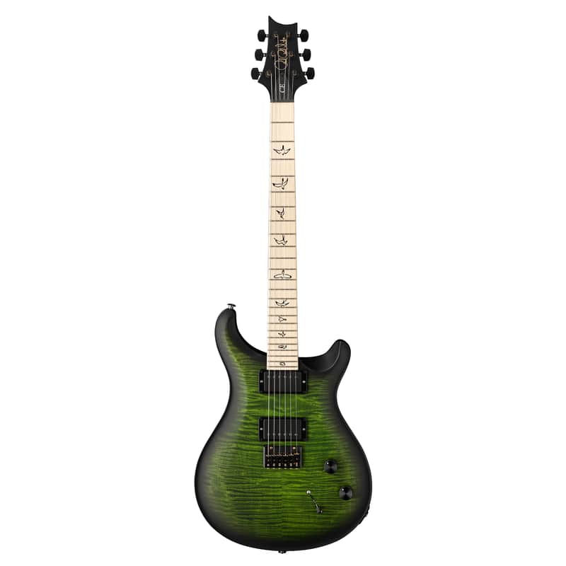 PRS Limited Edition Dustie Waring Signature DW CE 24 Hardtail image 1