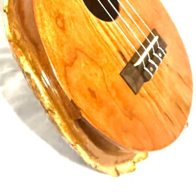 Turtle Shell Concert Ukulele image 4