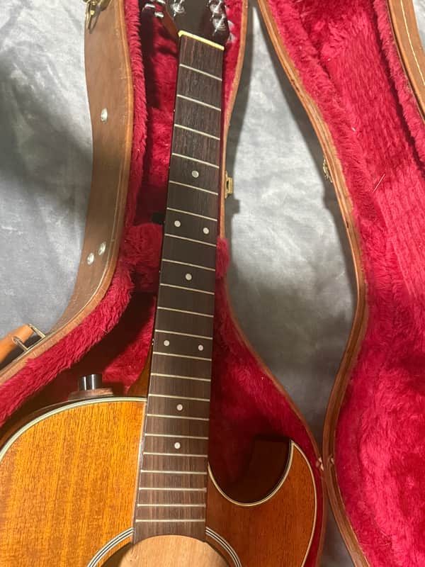 Washburn Woodstock 12 string 1983 | Reverb