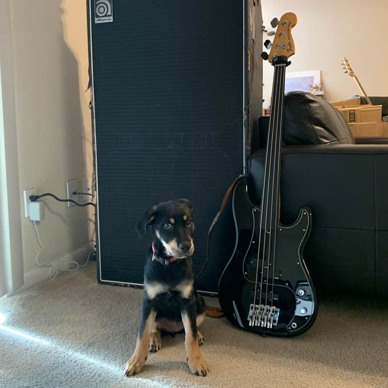 Fender Tony Franklin Artist Series Signature Fretless Precision Bass 2006 - Present - Black image 1