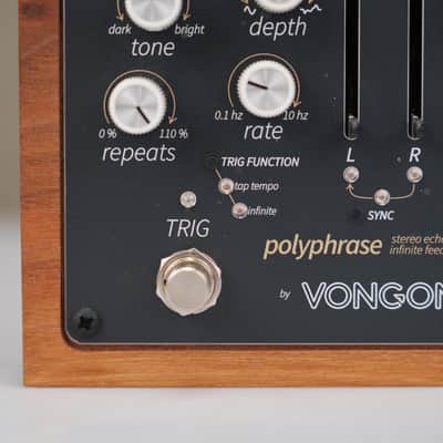 Vongon Polyphrase Stereo Echo Infinite Repeat Desktop Effects Unit #58701 image 5