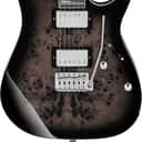 Ibanez GRG220PA1-BKB GIO GRG Electric Guitar 6-String - Transparent Brown Black Burst