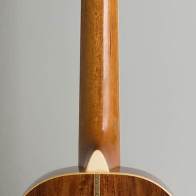 Tristani Style 5-18 Terz Parlor Guitar (2020), ser. #001, original black tolex hard shell case. image 9