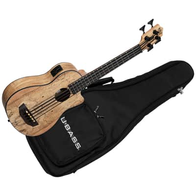 Spalted Maple U-Bass + housse Kala image 1