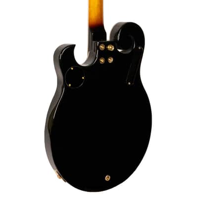 Gold Tone EBM-5 Solid Body Maple Top & Neck F-Style 5-String Electric Banjo image 2