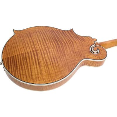Epiphone MM-50E Professional Mandolin - Natural image 15