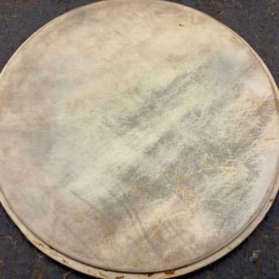 14 “ WFL Calf skin snare drum heads-1950s ? Batter & snare image 5