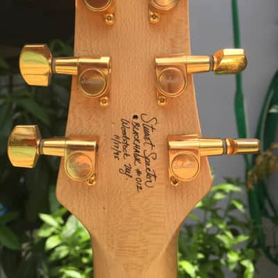 Rare signed Spector Blackhawk SSD guitar image 5
