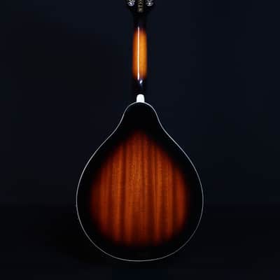 Ibanez M510E A-Style Acoustic/Electric Mandolin,  Brown Sunburst High Gloss image 7