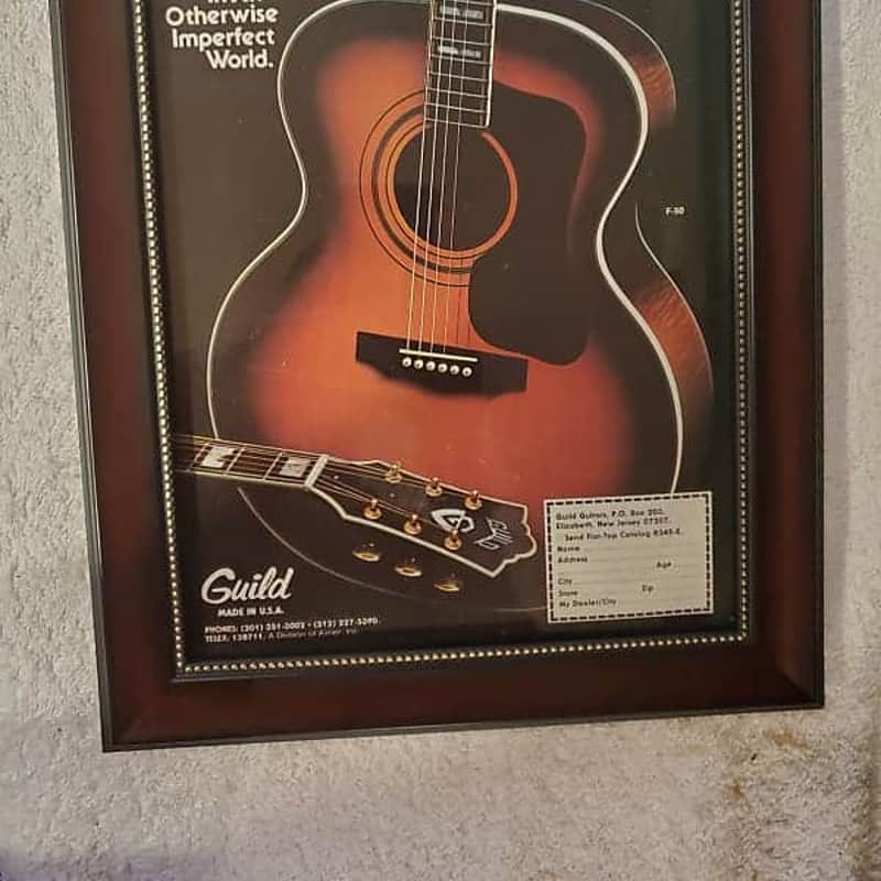 1977 Guild F-50 Color
