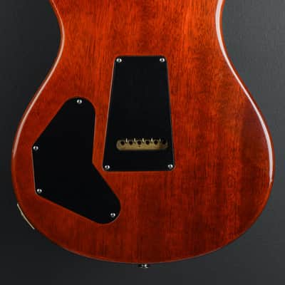 Paul Reed Smith DGT '08 image 7