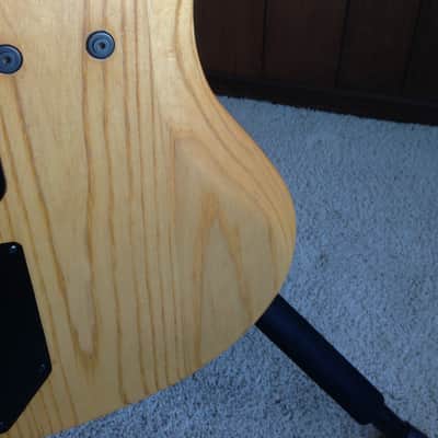 Roscoe LG-2000 flattop fretless image 5