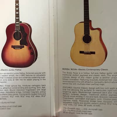 1979 original full Gibson acoustic catalog Hummingbird Dove  1970 - 1971 - Original image 6