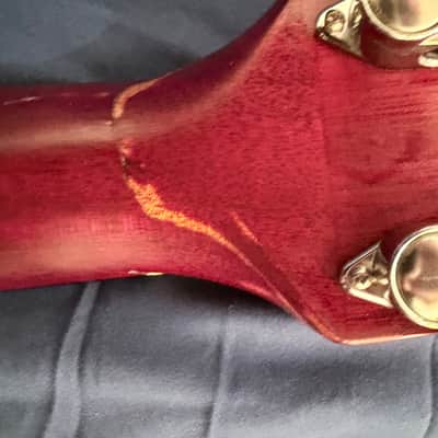 Washburn D-10 Dreadnought 1997 - Natural image 13