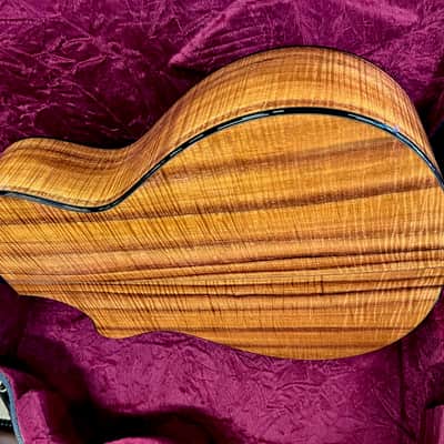 Taylor Spring Limited Edition 12-Fret Grand Concert Acoustic-Electric Guitar 2010 - Natural image 15