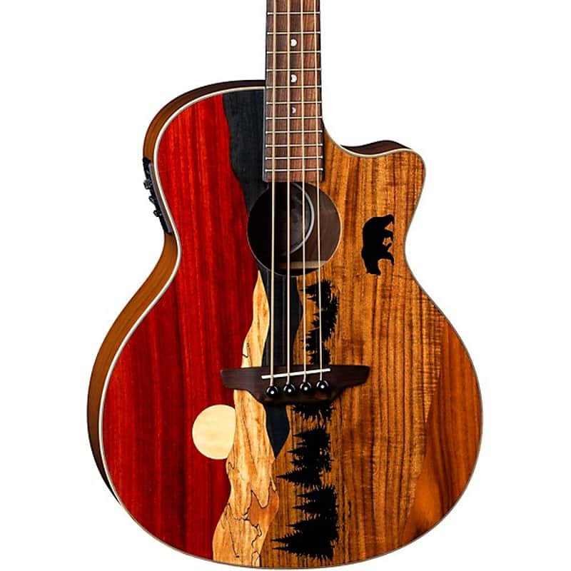 Luna Vista Bear Bass Tropical Wood Acoustic/Electric w/Case image 1