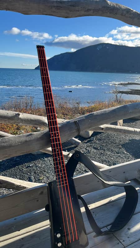 Steinberger L2