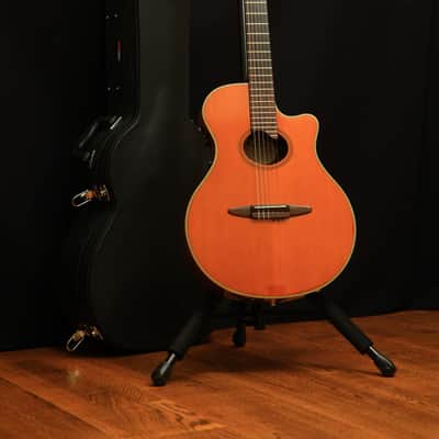 YAMAHA APX 10 A acoustic guitars for sale in USA | guitar-list